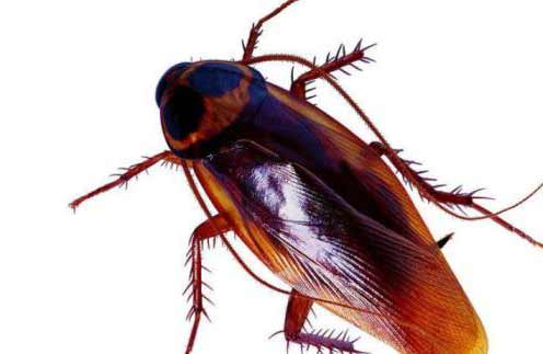 封面.jpg 封面.jpg