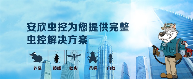 安欣虫控专业除虫公司保障.jpg
